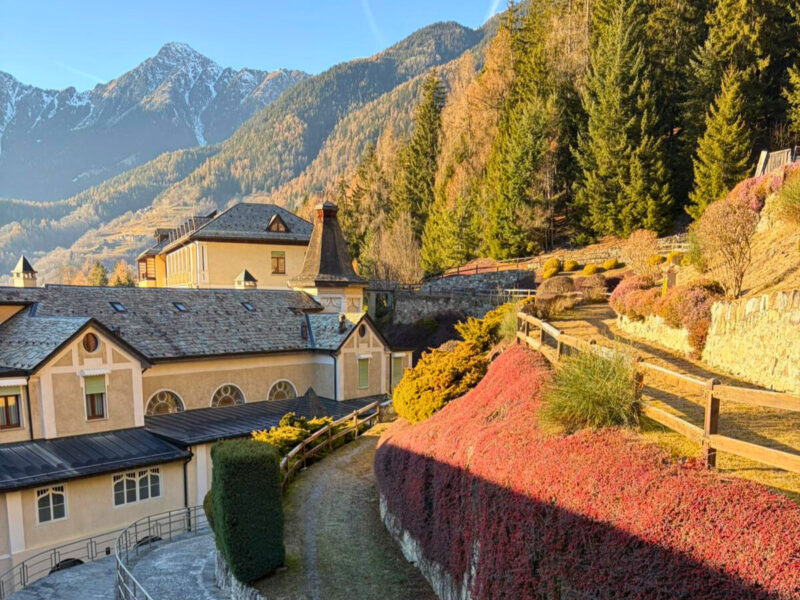 IMG-20251230-WA0013 - Modificata