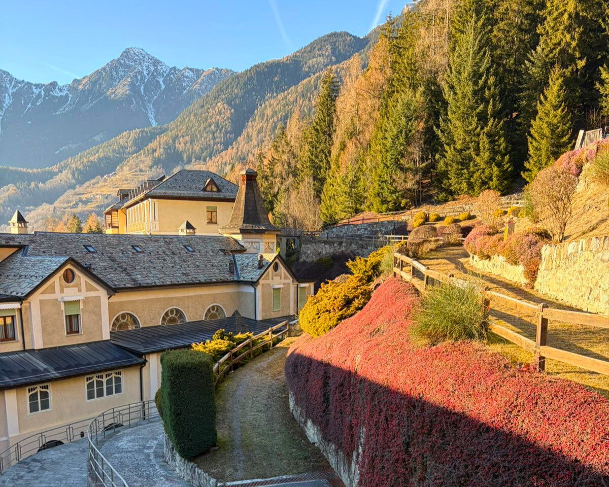 IMG-20251230-WA0013 - Modificata